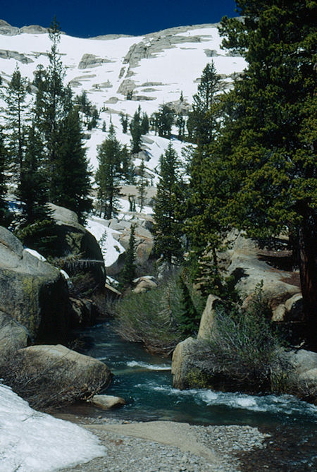 Looking down Summit Creek at camp two - Emigrant Wilderness 1993 Looking down Summit Creek at camp two - Emigrant Wilderness 1993