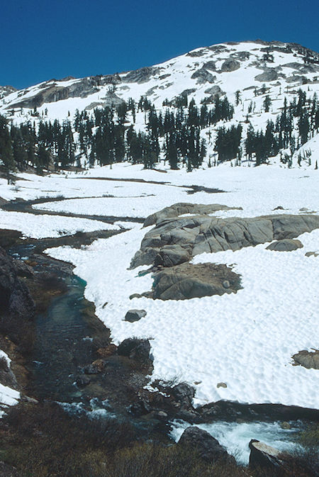 Summit Creek at snow covered Lunch Meadow - Emigrant Wilderness 1993