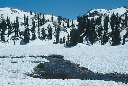 Lunch Meadow on Summit Creek - Emigrant Wilderness 1993