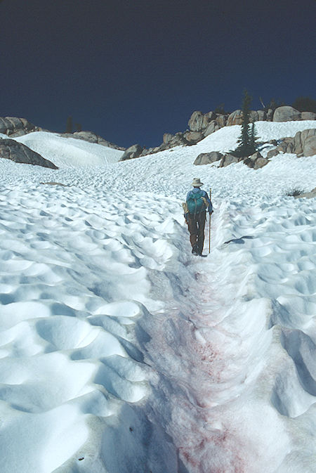 Gil Beilke on the way to Mosquito Pass with a little 'watermelon' algae in the snow - Emigrant Wilderness 1993 Gil Beilke on the way to Mosquito Pass with a little 'watermelon' algae in the snow - Emigrant Wilderness 1993