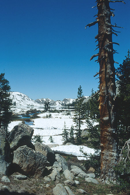 Emigrant Lake - Emigrant Wilderness 1993