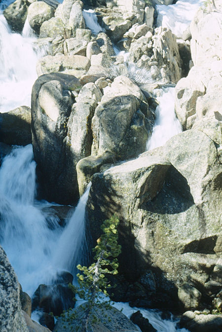 Summit Creek cascade below camp two - Emigrant Wilderness 1993