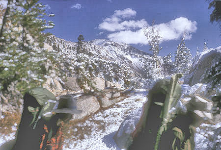 Crown Lake Trail in snow - Hoover Wilderness - 01 Sep 1964 Crown Lake Trail in snow - Hoover Wilderness - 01 Sep 1964