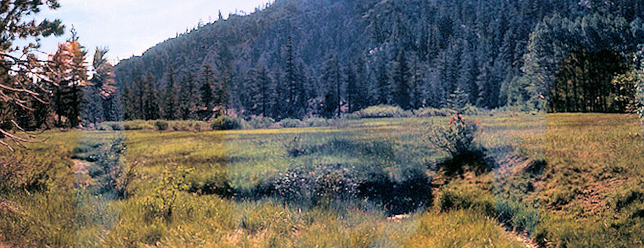 Sierra Nevada - John Muir Wilderness - Sawmill Meadow 1972 Sierra Nevada - John Muir Wilderness - Sawmill Meadow 1972