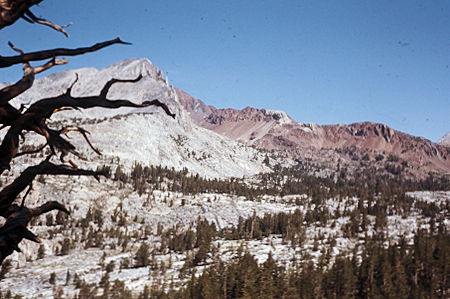 Sierra Nevada - Kings Canyon National Park - Cardinal Mountain from Woods Lake Trail 1972 Sierra Nevada - Kings Canyon National Park - Cardinal Mountain from Woods Lake Trail 1972