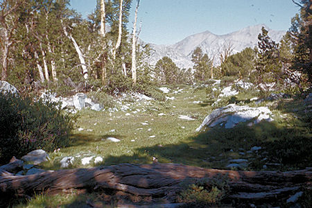 Sierra Nevada - Kings Canyon National Park - Meadow in Woods Lake basin 1972 Sierra Nevada - Kings Canyon National Park - Meadow in Woods Lake basin 1972