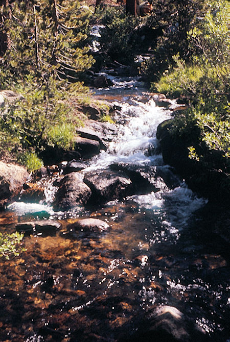 Sierra Nevada - Kings Canyon National Park - Creek at Woods Lake trail junction 1972 Sierra Nevada - Kings Canyon National Park - Creek at Woods Lake trail junction 1972