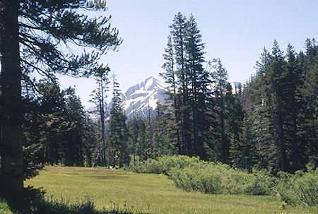 Kennedy Peak over Kennedy Creek meadow - Emigrant Wilderness 1995