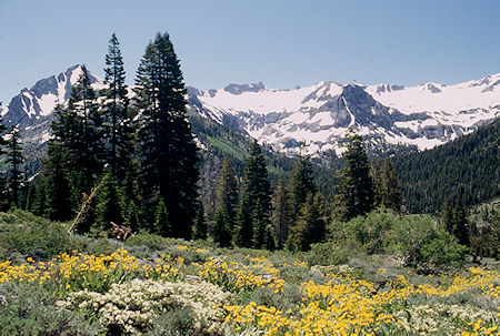 Kennedy Peak, Relief Peak over Mule Ears garden - Emigrant Wilderness 1995