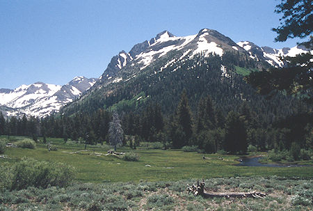 Kennedy Peak and Creek - Emigrant Wilderness 1995 Kennedy Peak and Creek - Emigrant Wilderness 1995