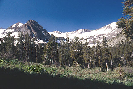 Soda Canyon - Emigrant Wilderness 1995 Soda Canyon - Emigrant Wilderness 1995