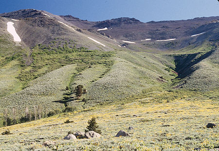 Leavitt Peak (Gil Beilke's route) - Emigrant Wilderness 1995 Leavitt Peak (Gil Beilke's route) - Emigrant Wilderness 1995