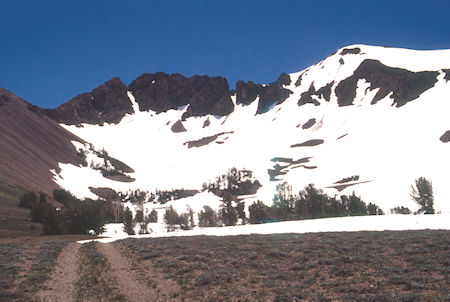 Old mine road on Kennedy Saddle, start of climb to Big Sam - Emigrant Wilderness 1995