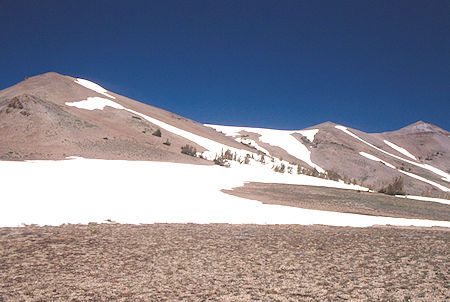 Looking toward route over ridge to Leavitt Lake - Emigrant Wilderness 1995 Looking toward route over ridge to Leavitt Lake - Emigrant Wilderness 1995