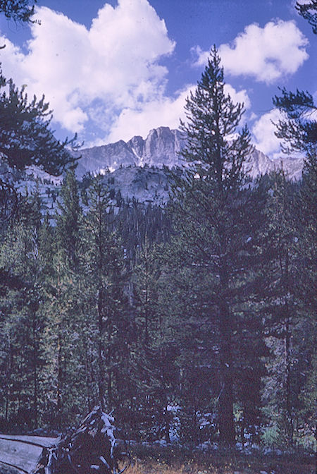 Glacier Divide from Piute Creek - John Muir Wilderness 17 Aug 1962