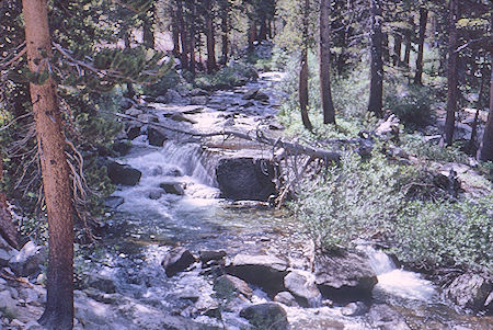 Piute Creek above Hutchinson Meadow - John Muir Wilderness 17 Aug 1962