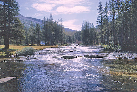 Hutchinson Meadow - John Muir Wilderness 24 Aug 1968