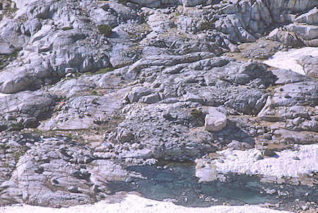 Camp site from Cirque Pass - Kings Canyon National Park 25 Aug 1969