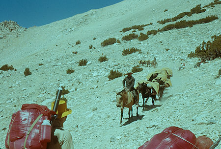 Pack Train descending from Kearsarge Pass - Kearsarge Pass Trail 28 Aug 1960