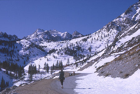 On the Onion Valley Road - Kearsarge Pass 1967 On the Onion Valley Road - Kearsarge Pass 1967