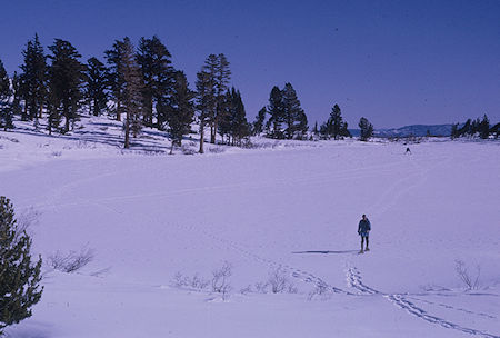 Gilbert Lake - Kearsarge Pass 1967