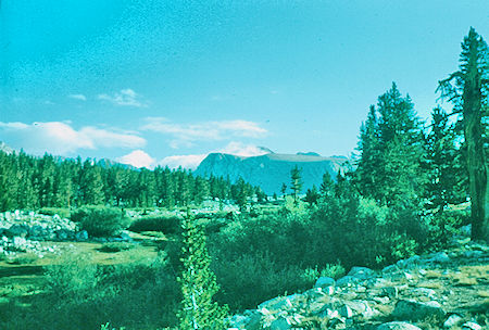 Looking back from Tyndall Creek - Sequoia National Park 01 Sep 1960