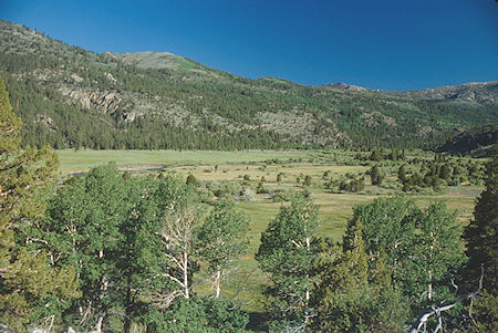 Leavitt Meadow - Hoover Wilderness 1991 Leavitt Meadow - Hoover Wilderness 1991