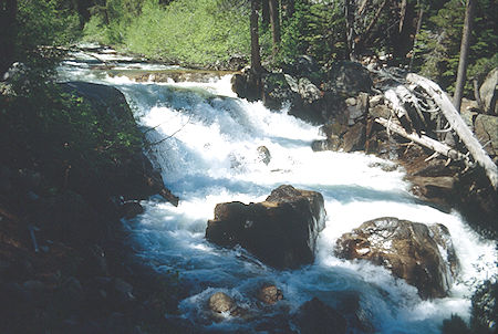 Walker River at '75 tree' camp - Hoover Wilderness 1991 Walker River at '75 tree' camp - Hoover Wilderness 1991