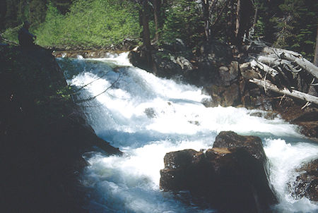Walker River at '75 tree' camp - Hoover Wilderness 1991 Walker River at '75 tree' camp - Hoover Wilderness 1991