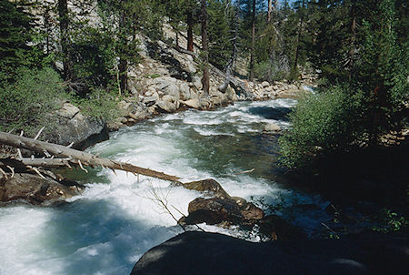 Walker River at '75 tree' camp - Hoover Wilderness 1991 Walker River at '75 tree' camp - Hoover Wilderness 1991