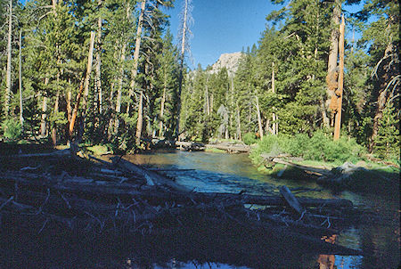 Walker River above Fremont Lake trail junction - Hoover Wilderness 1991 Walker River above Fremont Lake trail junction - Hoover Wilderness 1991