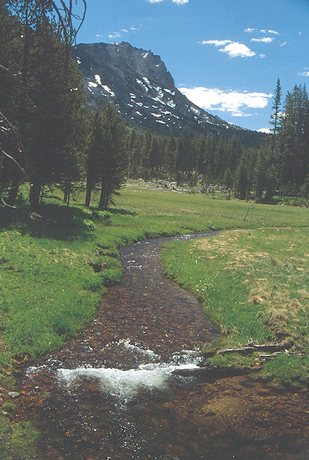 Long Canyon meadow below Beartrap Lake - Hoover Wilderness 1991