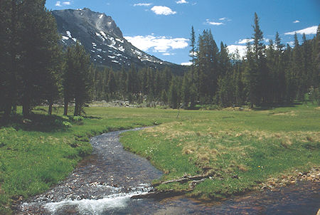 Long Canyon meadow below Beartrap Lake - Hoover Wilderness 1991