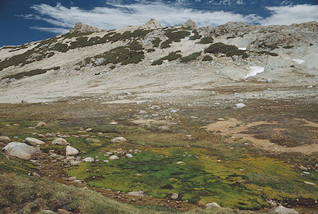 Upper Thompson Canyon - Yosemite National Park 1992