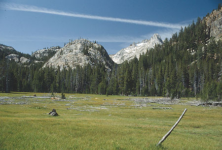 Upper Piute Meadow, Tower Peak (right back) - Hoover Wilderness 1992