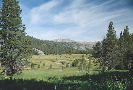 Looking back at Upper Piute Meadow - Hoover Wilderness 1992