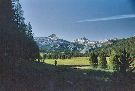 Upper Piute Meadow, Hawksbeak and Ehrnbeck Peaks - Hoover Wilderness 1992 Upper Piute Meadow, Hawksbeak and Ehrnbeck Peaks - Hoover Wilderness 1992