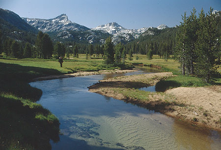 Upper Piute Meadow, Hawksbeak and Ehrnbeck Peaks - Hoover Wilderness 1992