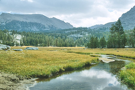 Lower Crabtree Meadow - Sequoia National Park 28 Aug 1981