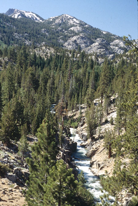 Walker River near Tree 75 - Hoover Wilderness 1995