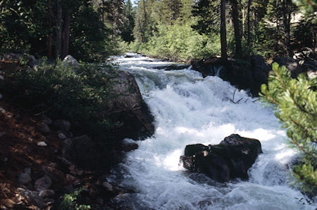 Walker River at Tree 75 - Hoover Wilderness 1995 Walker River at Tree 75 - Hoover Wilderness 1995