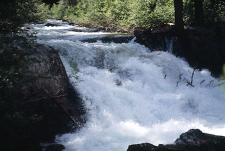 Walker River at Tree 75 - Hoover Wilderness 1995 Walker River at Tree 75 - Hoover Wilderness 1995