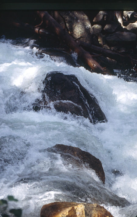Walker River at Tree 75 - Hoover Wilderness 1995 Walker River at Tree 75 - Hoover Wilderness 1995