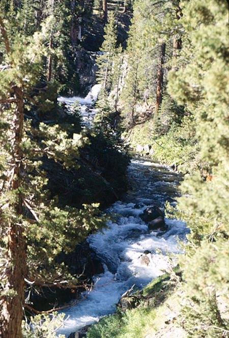 Cascade Creek - Hoover Wilderness 1995 Cascade Creek - Hoover Wilderness 1995