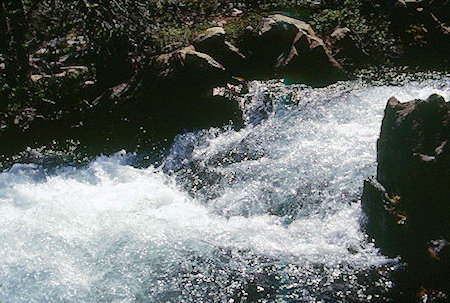 Cascade Creek below Lake Harriett - Hoover Wilderness 1995