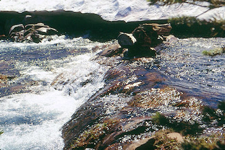 Cascade Creek below Lake Harriett - Hoover Wilderness 1995 Cascade Creek below Lake Harriett - Hoover Wilderness 1995