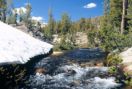 Cascade Creek below Lake Harriett - Hoover Wilderness 1995 Cascade Creek below Lake Harriett - Hoover Wilderness 1995