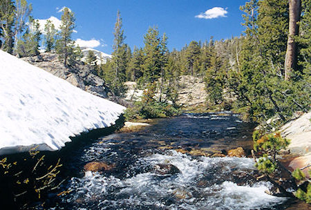 Cascade Creek below Lake Harriett - Hoover Wilderness 1995