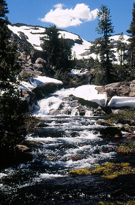 Cascade Creek below Lake Harriett - Hoover Wilderness 1995 Cascade Creek below Lake Harriett - Hoover Wilderness 1995