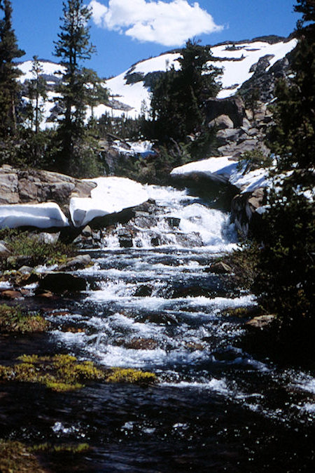 Cascade Creek below Lake Harriet - Hoover Wilderness 1995